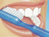 brossage des dents latéral